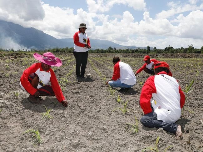 Opitmalkan Pembangunan Rumah Layak Huni di Papua